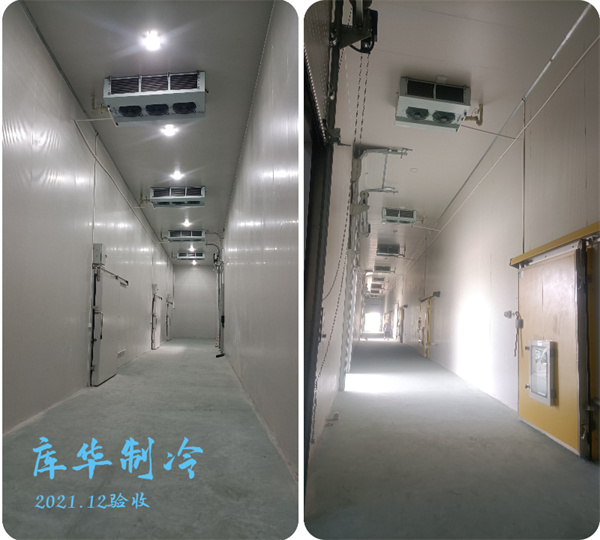 大型氣調(diào)冷庫設計安裝